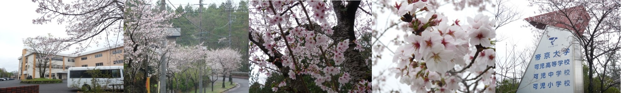 「2026年度」スタート！